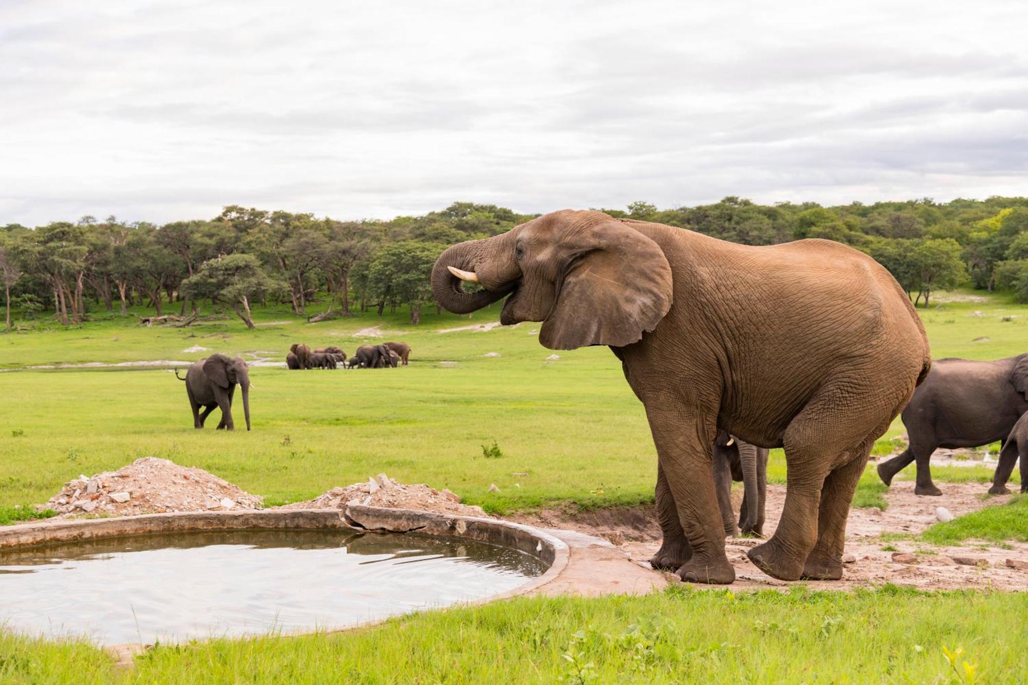 Hwange Safari Lodge Dete Luaran gambar